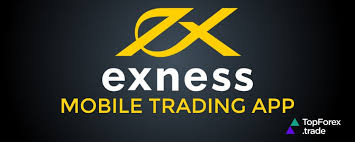 Complete Guide to Exness MT4 Setup for Trading Success Complete Guide to Exness MT4 Setup for Trading Success